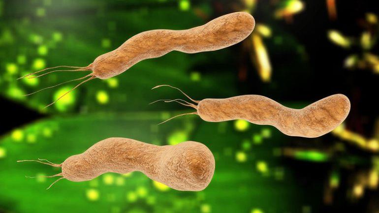 NGUYÊN NHÂN HÀNG ĐẦU TRẺ EM BỊ VI KHUẨN HP (Helicobacter pylori)